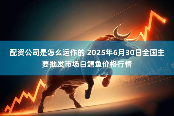配资公司是怎么运作的 2025年6月30日全国主要批发市场白鳝鱼价格行情