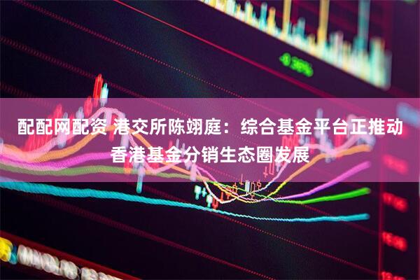 配配网配资 港交所陈翊庭：综合基金平台正推动香港基金分销生态圈发展