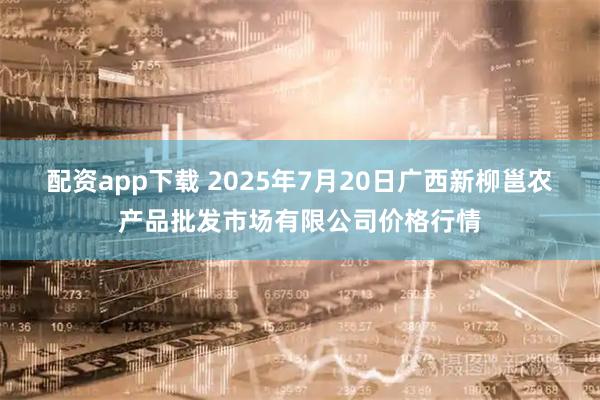 配资app下载 2025年7月20日广西新柳邕农产品批发市场有限公司价格行情